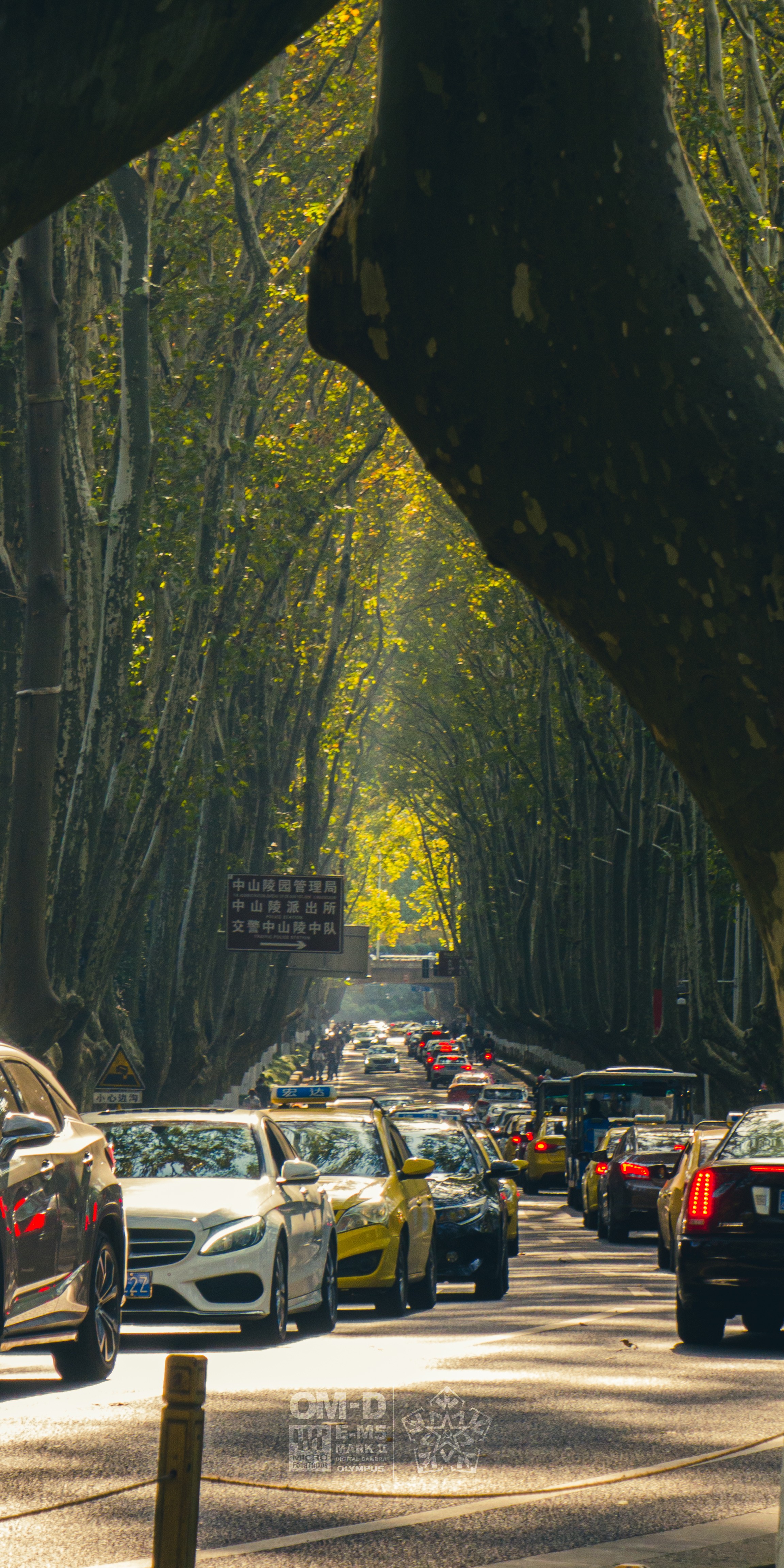 上山的一条马路