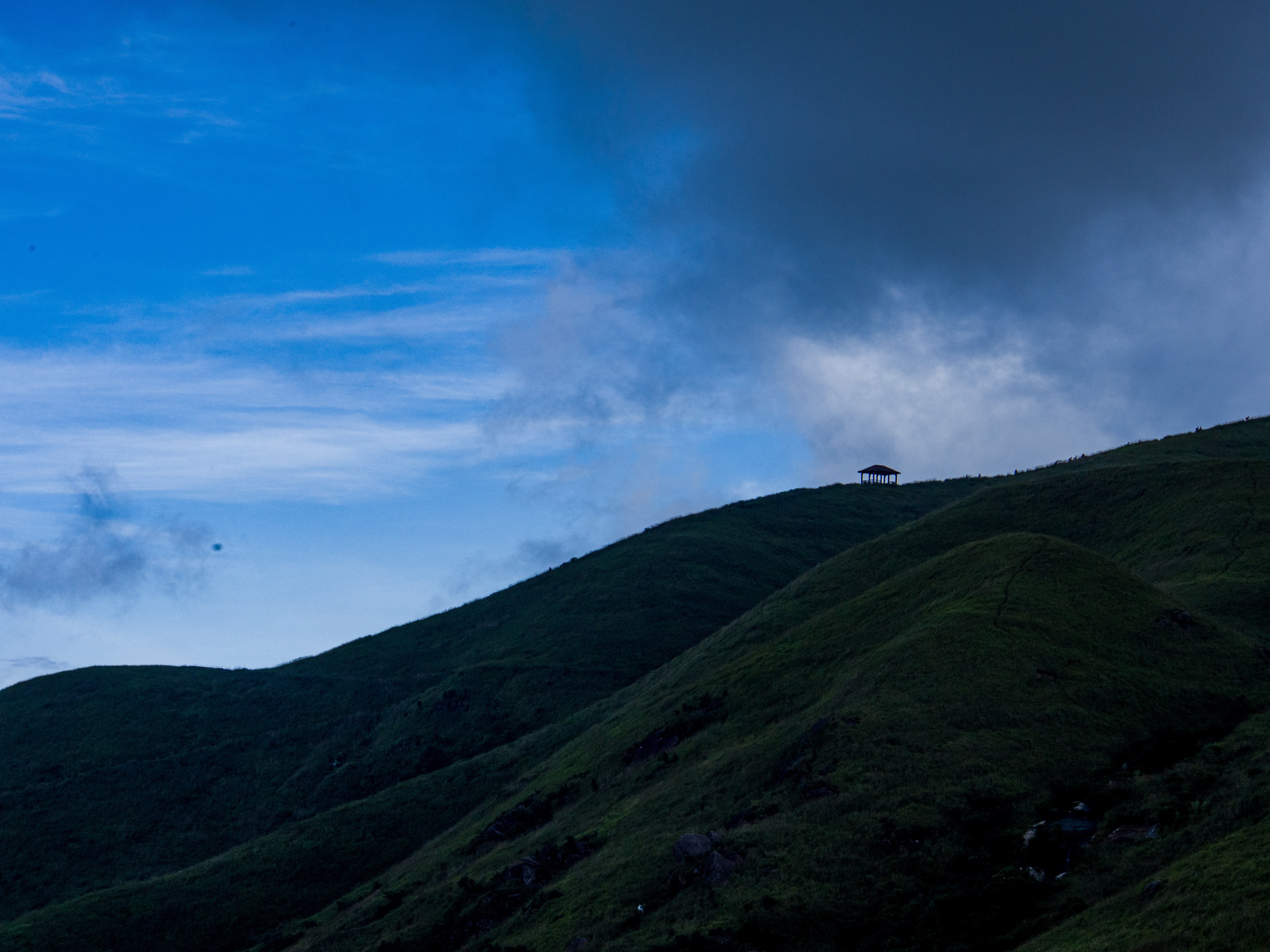 高山草甸